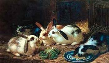 unknow artist Rabbits 116 Spain oil painting art
